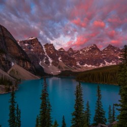 Pink Cotton Candy Moraine